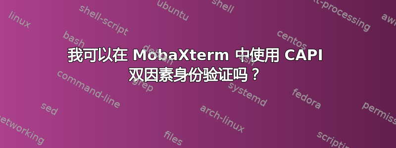 我可以在 MobaXterm 中使用 CAPI 双因素身份验证吗？