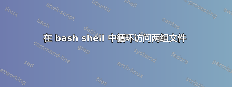 在 bash shell 中循环访问两组文件