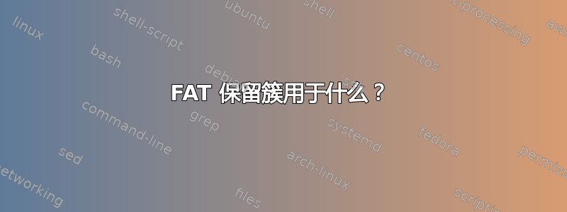 FAT 保留簇用于什么？