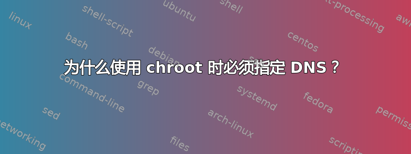 为什么使用 chroot 时必须指定 DNS？