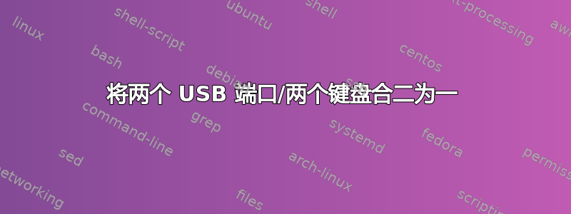 将两个 USB 端口/两个键盘合二为一