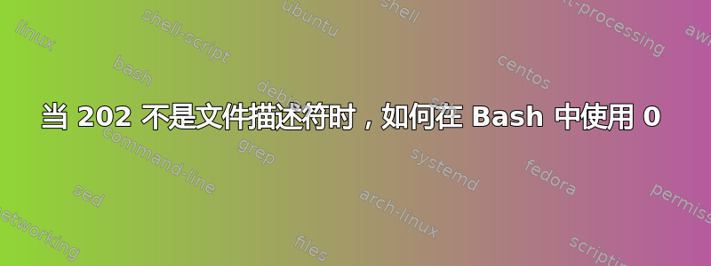 当 202 不是文件描述符时，如何在 Bash 中使用 0