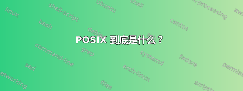 POSIX 到底是什么？