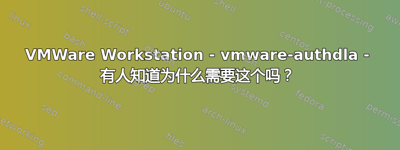 VMWare Workstation - vmware-authdla - 有人知道为什么需要这个吗？