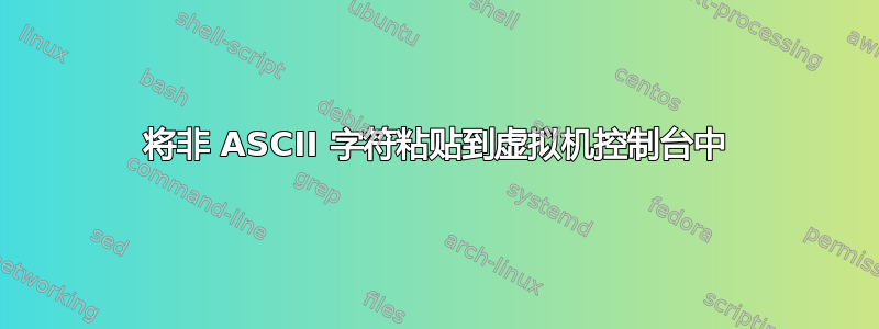 将非 ASCII 字符粘贴到虚拟机控制台中