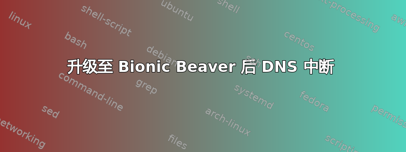 升级至 Bionic Beaver 后 DNS 中断