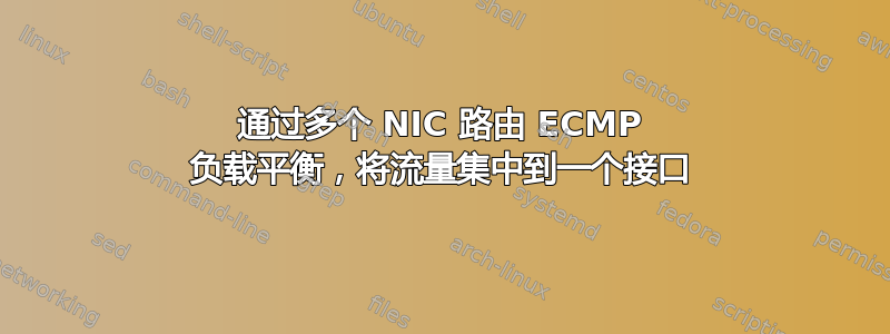 通过多个 NIC 路由 ECMP 负载平衡，将流量集中到一个接口