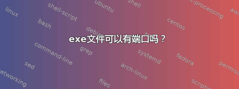 exe文件可以有端口吗？