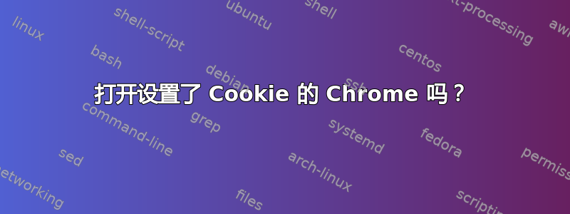 打开设置了 Cookie 的 Chrome 吗？