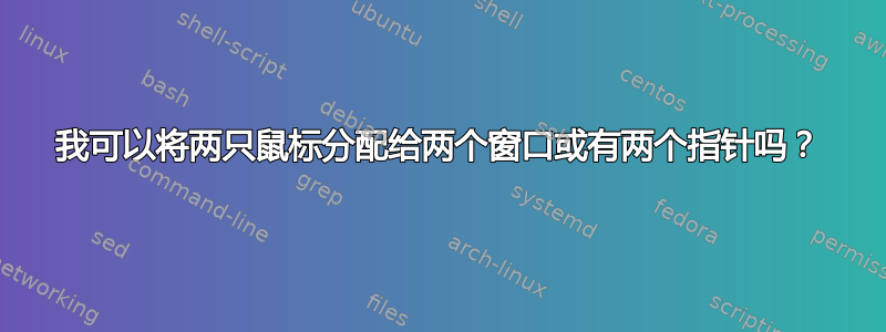 我可以将两只鼠标分配给两个窗口或有两个指针吗？