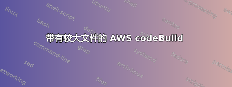 带有较大文件的 AWS codeBuild