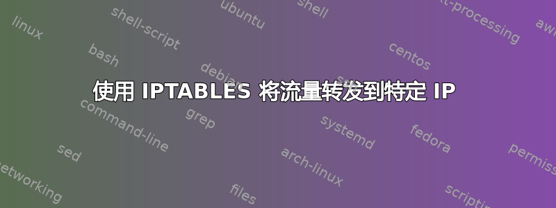 使用 IPTABLES 将流量转发到特定 IP