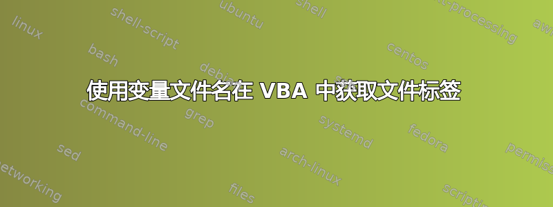 使用变量文件名在 VBA 中获取文件标签