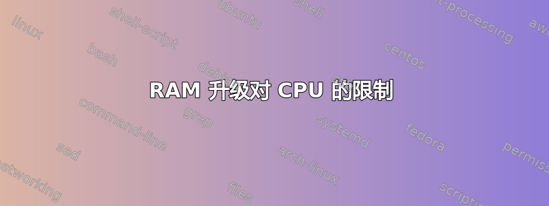 RAM 升级对 CPU 的限制