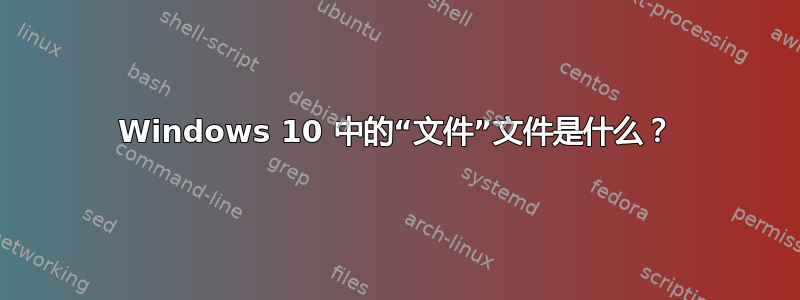 Windows 10 中的“文件”文件是什么？