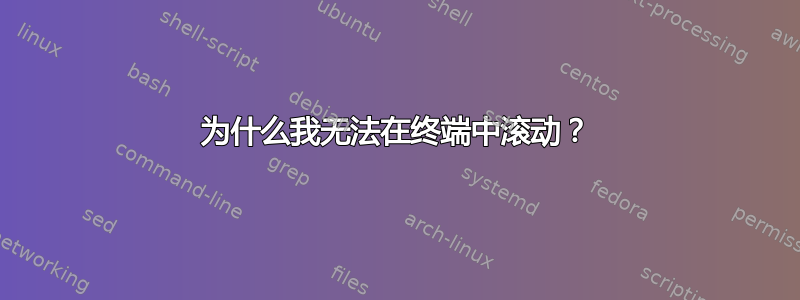 为什么我无法在终端中滚动？