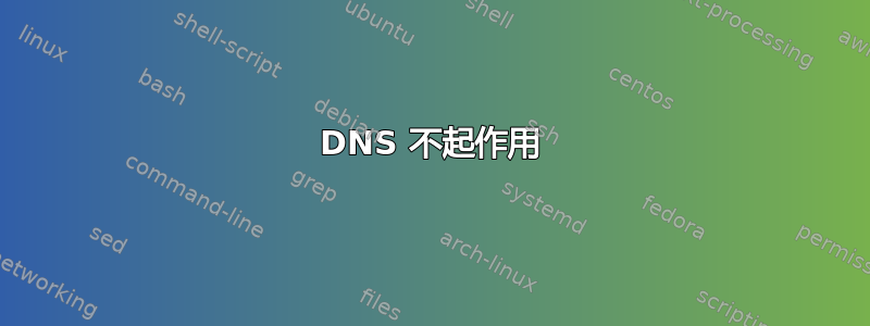 DNS 不起作用