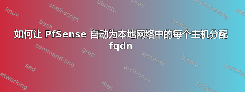 如何让 PfSense 自动为本地网络中的每个主机分配 fqdn