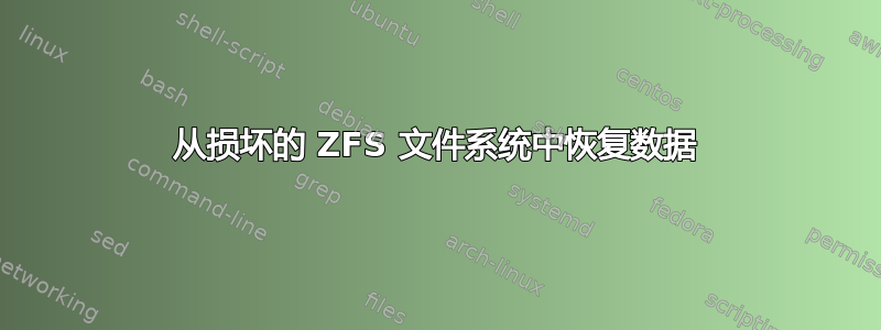 从损坏的 ZFS 文件系统中恢复数据