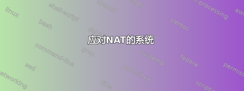 应对NAT的系统