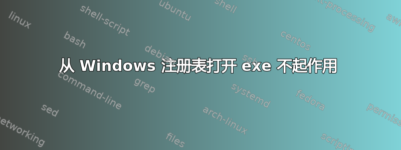 从 Windows 注册表打开 exe 不起作用