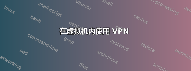 在虚拟机内使用 VPN