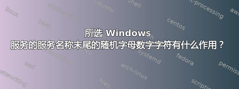 所选 Windows 服务的服务名称末尾的随机字母数字字符有什么作用？