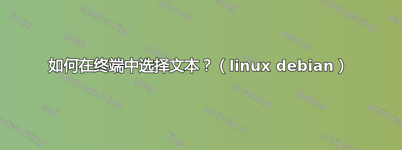 如何在终端中选择文本？（linux debian）