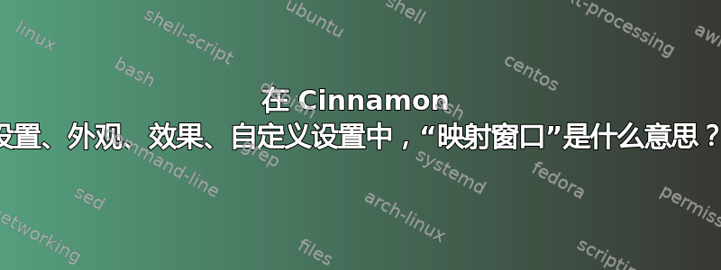 在 Cinnamon 设置、外观、效果、自定义设置中，“映射窗口”是什么意思？