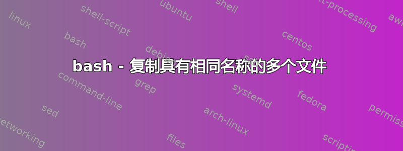 bash - 复制具有相同名称的多个文件