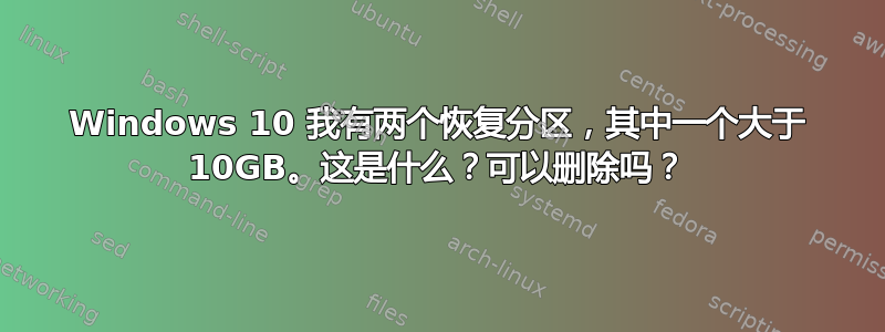 Windows 10 我有两个恢复分区，其中一个大于 10GB。这是什么？可以删除吗？