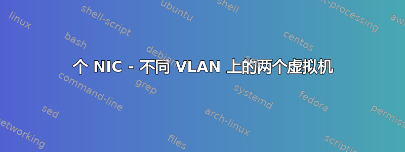 1 个 NIC - 不同 VLAN 上的两个虚拟机