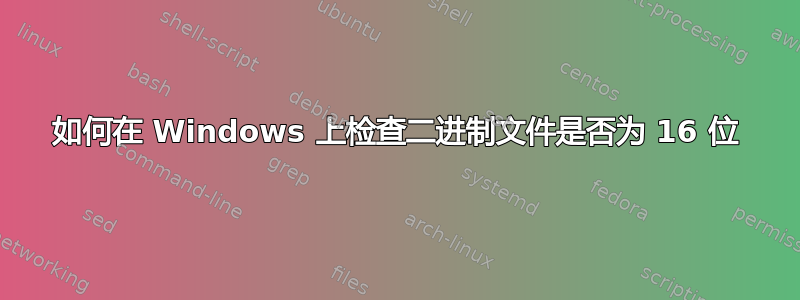 如何在 Windows 上检查二进制文件是否为 16 位