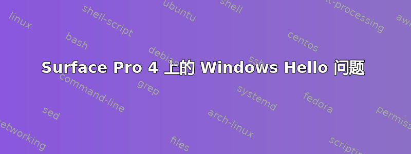 Surface Pro 4 上的 Windows Hello 问题