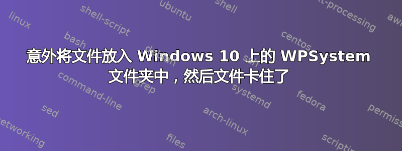 意外将文件放入 Windows 10 上的 WPSystem 文件夹中，然后文件卡住了