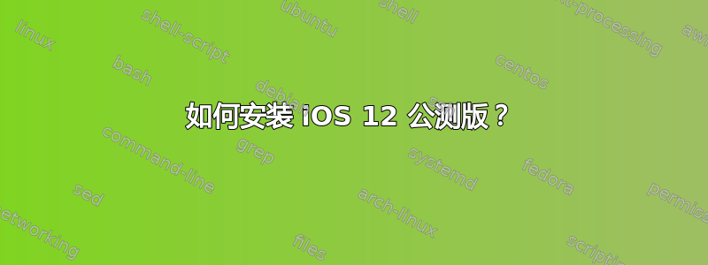 如何安装 iOS 12 公测版？