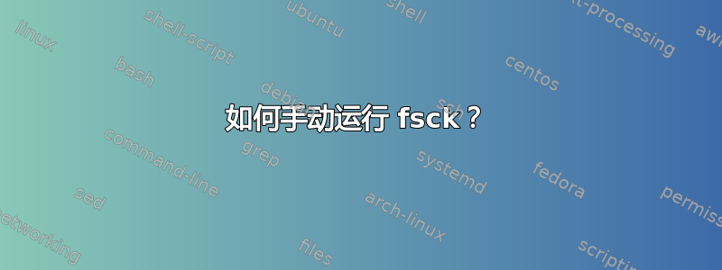 如何手动运行 fsck？