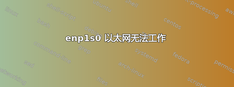 enp1s0 以太网无法工作