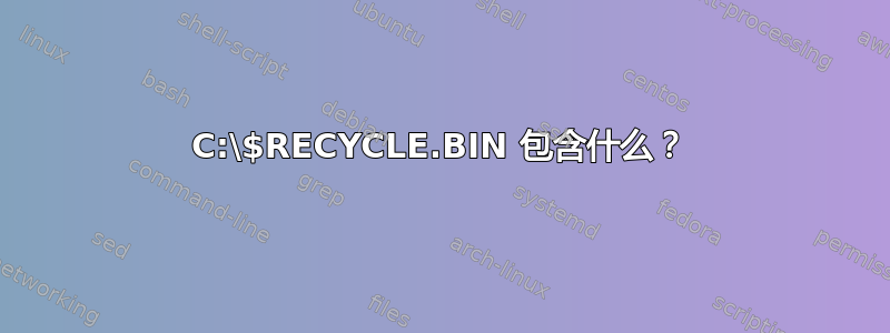 C:\$RECYCLE.BIN 包含什么？