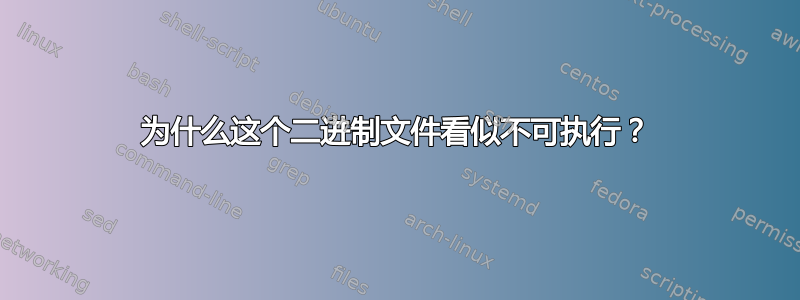 为什么这个二进制文件看似不可执行？