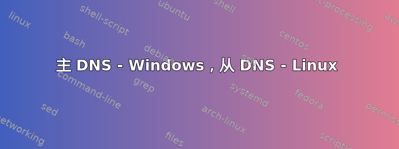 主 DNS - Windows，从 DNS - Linux