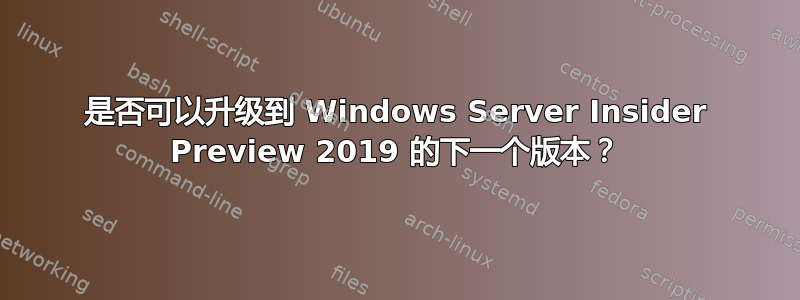 是否可以升级到 Windows Server Insider Preview 2019 的下一个版本？