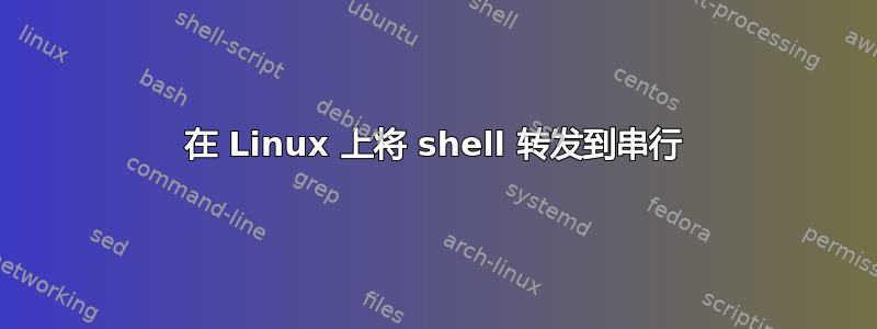 在 Linux 上将 shell 转发到串行