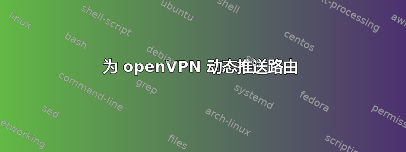 为 openVPN 动态推送路由