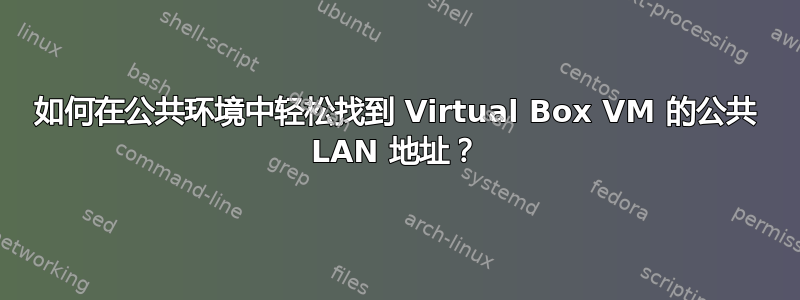 如何在公共环境中轻松找到 Virtual Box VM 的公共 LAN 地址？