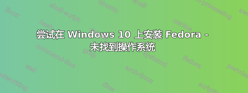 尝试在 Windows 10 上安装 Fedora - 未找到操作系统