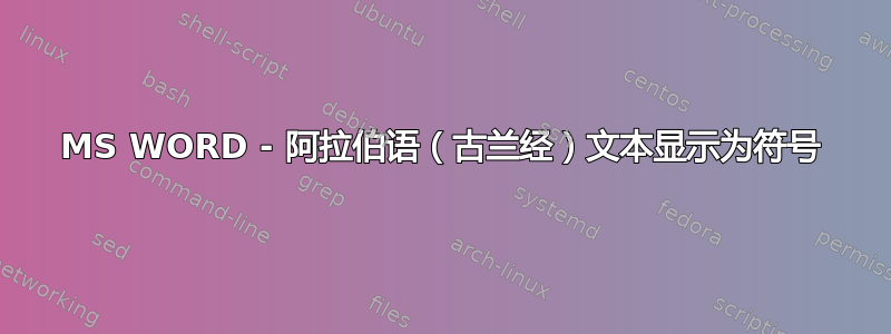 MS WORD - 阿拉伯语（古兰经）文本显示为符号