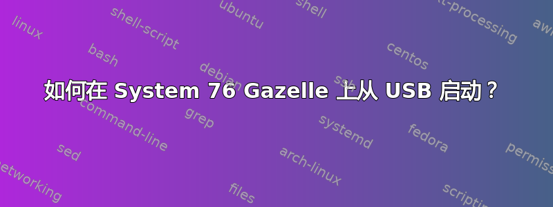 如何在 System 76 Gazelle 上从 USB 启动？