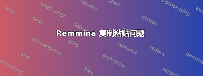 Remmina 复制粘贴问题