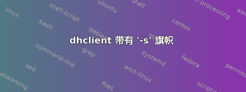 dhclient 带有 '-s' 旗帜